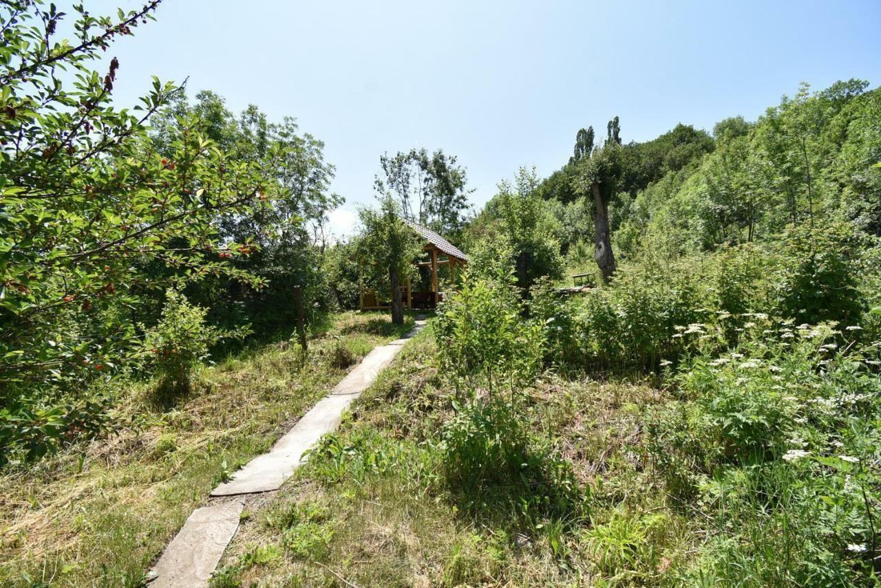 Guest House Arsan Tsaghkadzor Esterno foto